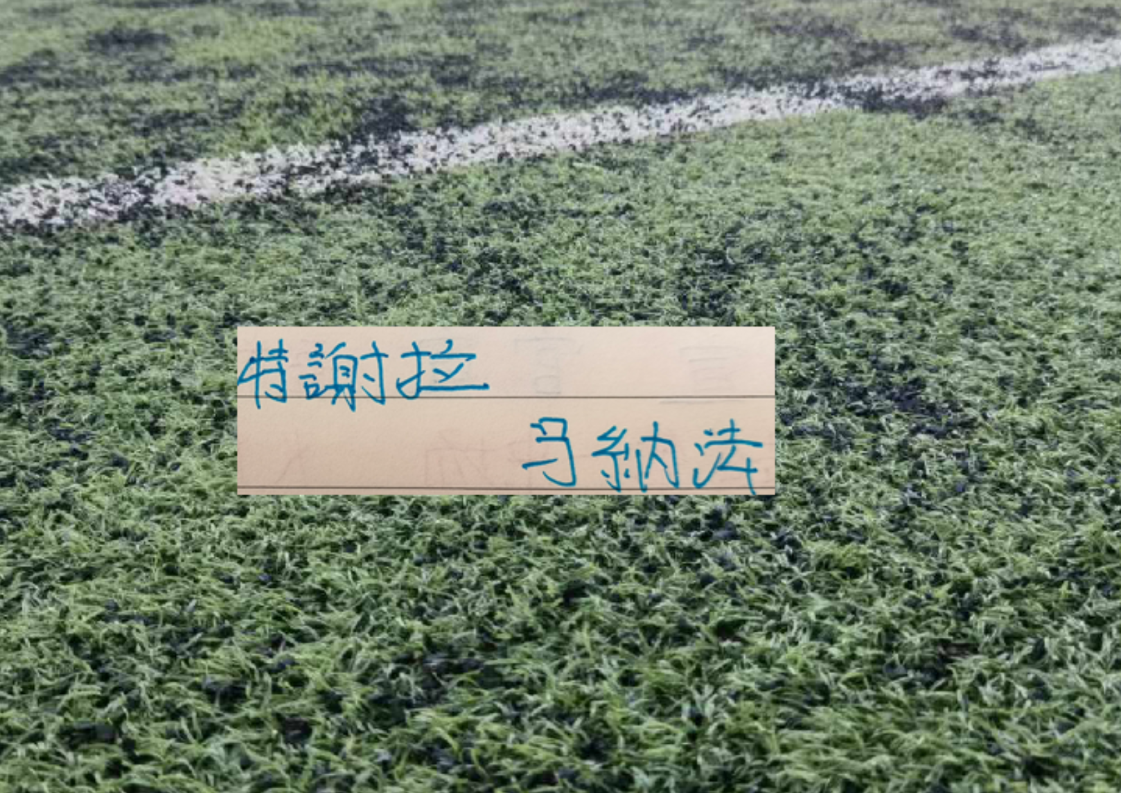 申花10号特谢拉本是双刃剑选手 上半年受伤2次