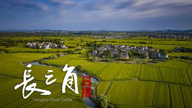 【长三角日报】傅明将迎首秀,成首位执法本届世界杯中国籍裁判员