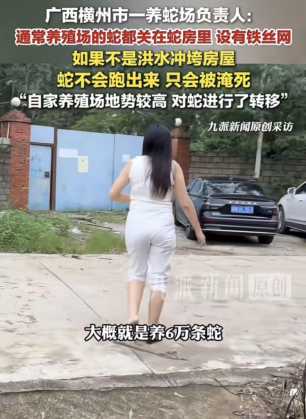 广西养蛇负责人:6万条蛇防逃措施做得很好,希望大家别抱有偏见