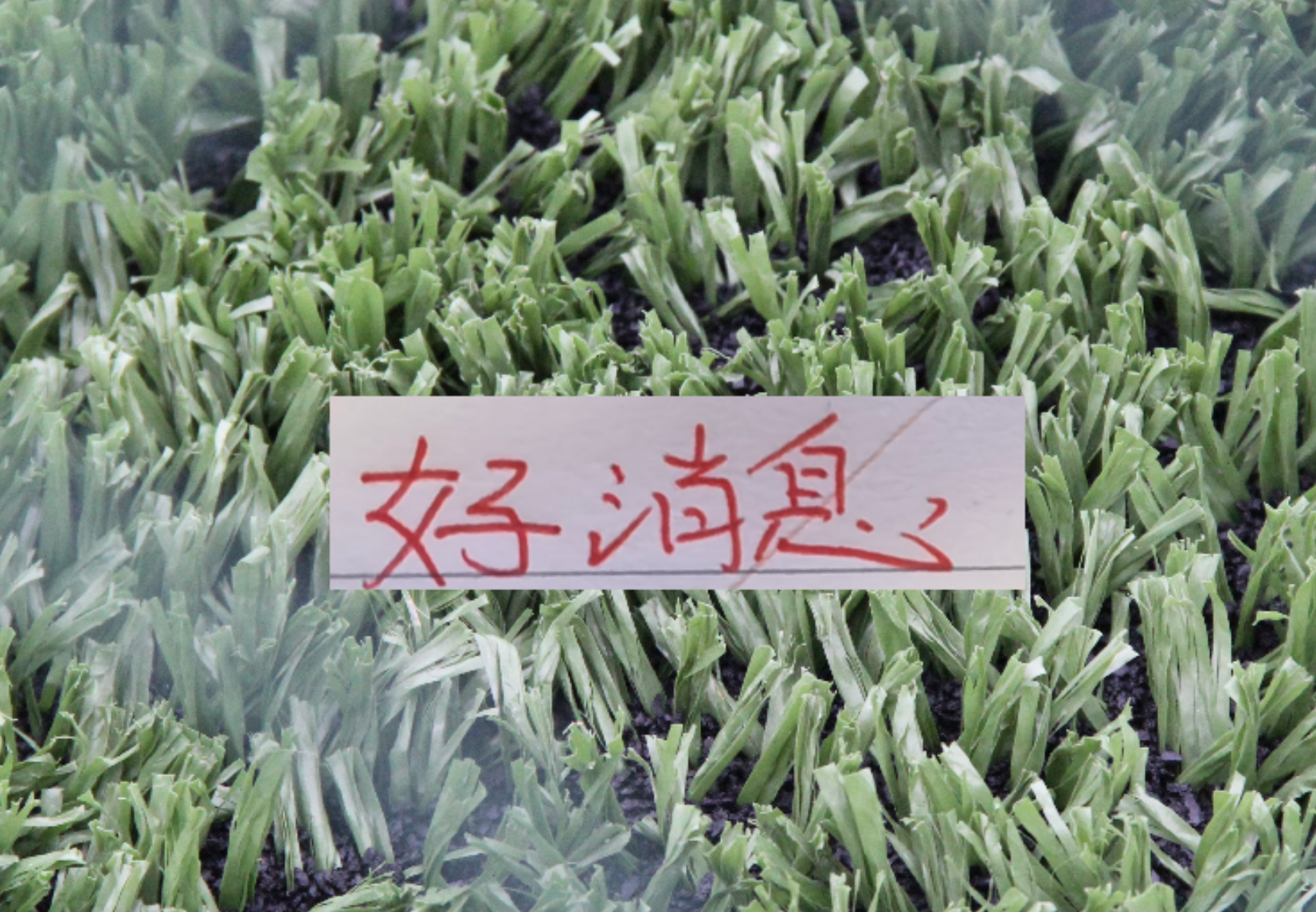 好消息！北京国安10号发文报平安 之前入选5月官方最佳候选人