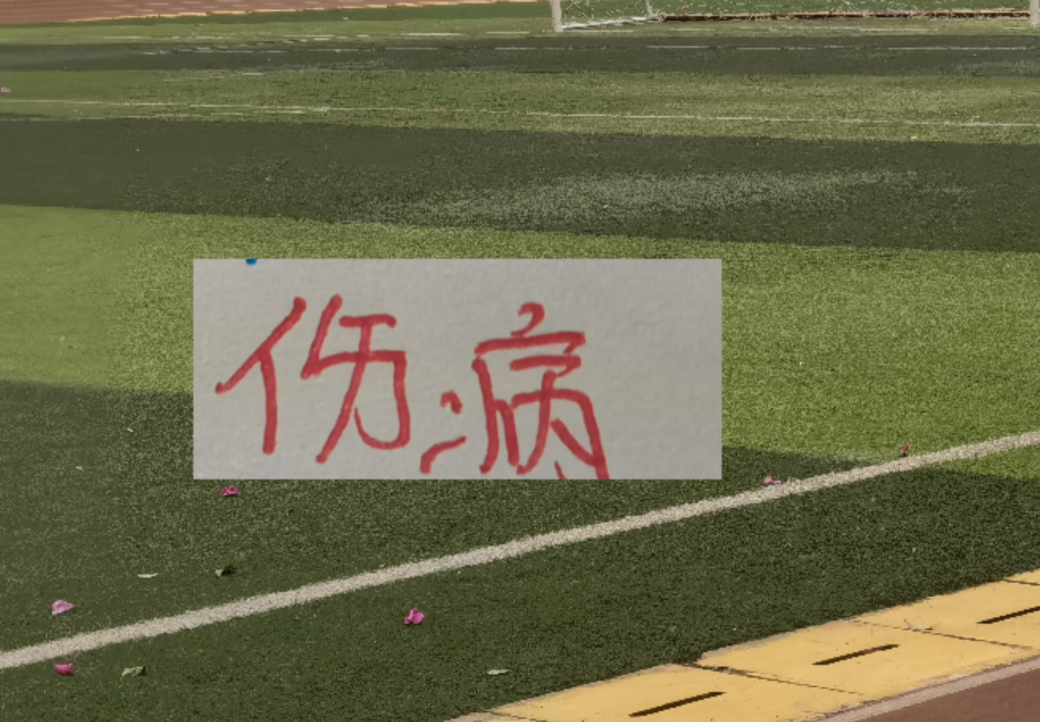 申花今年耗损有点多!联赛没打前就有伤病