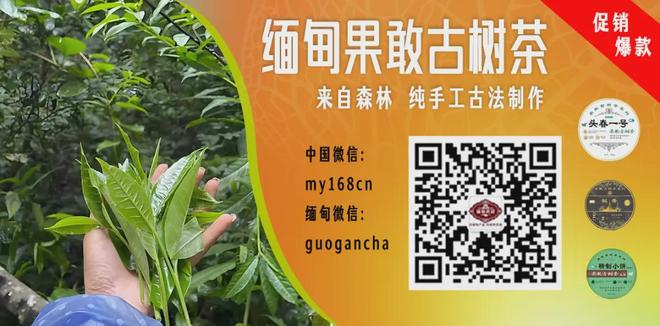 大罗：我全力支持内马尔，姆巴佩的踢法让我想起巅峰期的自己