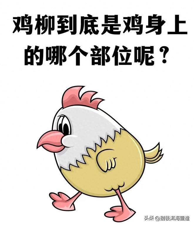 徐昕即将归队，广东队酝酿2换2大交易，新赛季目标4强