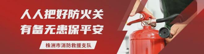 动物行为学发现一条违背直觉的铁律:对配偶越专一的雄性,体内睾酮水平却越低,不是忠诚让它变弱,而是专一本身在重塑它的生存策略