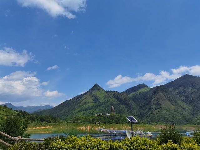 大兴机场惊现50人印度团，导游震惊：他们卖了房搬家来这里