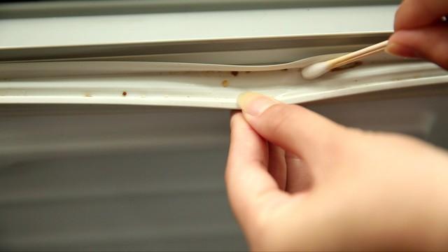 被足球小将起诉!董路:他自愿来我们没收一分钱 6年后告我侵权
