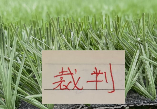 第21轮裁判安排!领头羊成都大牌面 三世界杯裁判科瓦奇 马宁 傅明