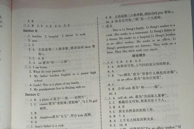 凯尔特人门神舒梅切尔伤情告急:或已踢完生涯最后一战