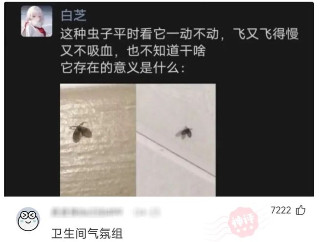 比利时靠什么对决未失球西班牙?小平头啤酒肚替补奇兵卢卡库